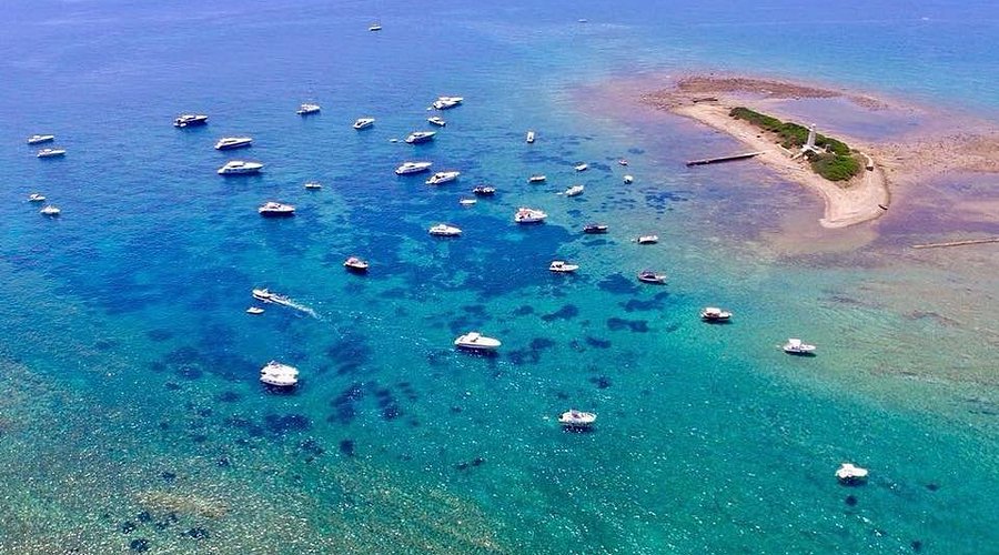Punta Licosa